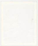 Playful Lusty Woman 1950 Perky Nipples, Silk Stockings Masturbation 5x4 Vintage Nude Photo Q9454