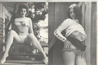 Hot Panties Vol 2 #4 Michelle Angelo, Elmer Batters 1970 Vintage Stockings Undergarments Fetish Magazine 44pgs Ripoff Press SF M37055