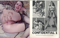 Leggy Lovelies Vol 2 #2 Christine Jensen, Brenda Barnes 1976 Solo Long Legged Women, Garterbelt Stockings 62pgs Chelsea Publ. Magazine M37176