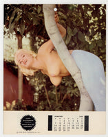 Fling 1962 Calendar June Wilkinson, Diane Webber, Lorrie Walsh, Candy Barr Relim Publ. J14511