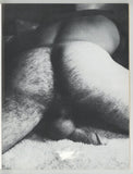 Love, Steven 1983 Illustrated Gay Sex Pulp 48pgs Steven Collins, Tony Michaels LDL Publ. M38966