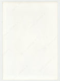 Smiling Brunette Female, Unshaven Nude Portrait 1963 Original Photo 5x4 Bushy Beaver, Photographer Roy Kemp Q10376