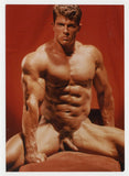 Muscular Beefcake Six Pack Abs 1995 Gay Physique 5x7 Colt Studio Nude Photo J15038