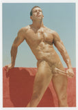 Well Endowed Slim Hunk 1995 Gay Physique 5x7 Colt Studio Nude Photo J15314