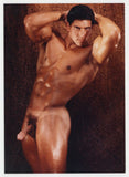 Ripped Tanned Dreamy Beefcake Model 1990 Gay Physique 5x7 Colt Studio Nude Photo J15532