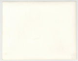 Bouffant Hair Brunette 1960 Original Photograph 5x4 Stockings, Heels, Long Leather Boots Q10229
