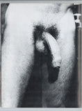 Working Men V1#3 Vintage Homo-Erotic Sex Magazine 1979 Adam Cadman 44pgs Pantheon Prod. Gay M39991