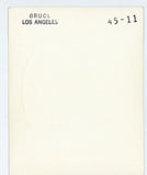 Photo Set/8 Allentown Insert Text CSV  File  Listing