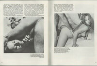 Erotic Adventure #4 Hard Sex 1971 Parliament 68pgs Voyeurism Vintage Porn M5524