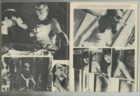 Sexploitation Cinema 1969 Wild Screen Reviews 80pg Gang Bang Outlaw Bikers LSD