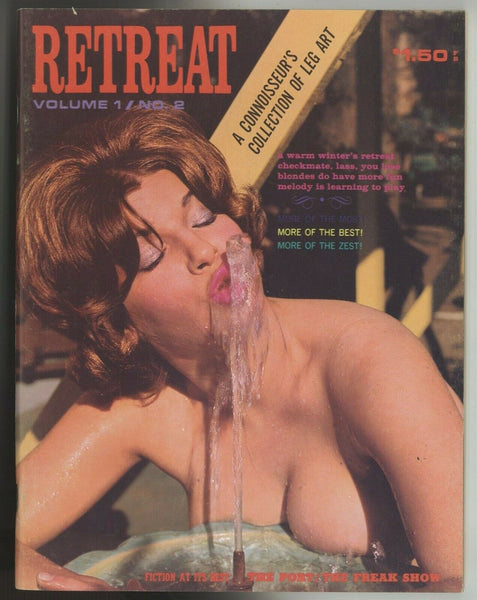 Elmer Batters Pinups 1964 Parliament Retreat 80pg Stockings Nylons M9826