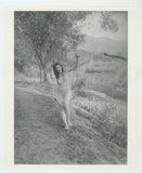 Ethereal Nude Female Fairy 1960 Artistic 8x10 Photo Classy Sexy Swing J7204