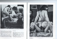 Interplay V1#2 Parliament 1976 Hairy Hippie Girls 56pg Hard Sex M20034