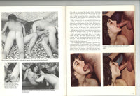 Full Swing #2 Panu Publishing 1971 Hardcore Sex Magazine 66pgs Hippies Hairy Women M20057