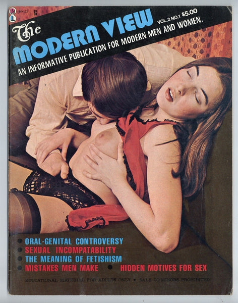 The Modern View 1973 Hippie Porn Magazine 64pg Hard Sex M20443