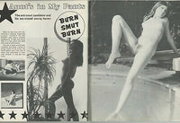 Adult Movies Illustrated 1970 Sexploitation Films Psychedelic Sex 80pg LSD 5440A