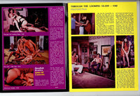 Candida Royalle, Eileen Wells, Nancy Hoffman, John Holmes 1980 Swedish Erotica #22 Vintage Porn 36pg Magazine M20879