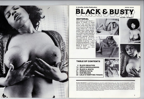 Big Black Busty Boobs - Black & Busty V1#1 Blaxploitation Big Boobs Porn 1979 Jennifer Jordan â€“  oxxbridgegalleries