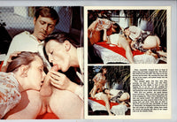 Brunette Picnic 1978 Shirley Richards & Ann Reynolds FMF Knockout Publishing 32pg All Color Outdoor Group Sex M21060