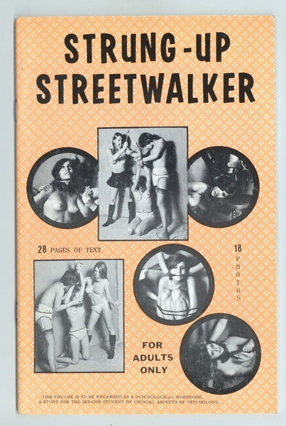 Strung-Up Streetwalker 1968 Roslyn News Vintage Lesbian BDSM 48pg Rope Torture Erotic Literature M21124