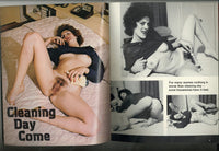 Horny Housewives V6 #1 Eros Goldstripe Satyr 1975 Vintage Adult Magazine 56pg M21337