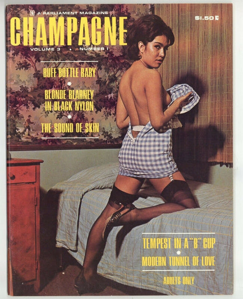 Elmer Batters 1965 Parliament Champagne 80pg Nylon Stockings Tip Top Legs M10380