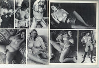 Big Juicy Jugs V2 #3 Vintage 1976 Parliament Sylvia McFarland Roxy Brewer 56pg Candy Samples Joyce Spaeth Uschi Diggard Big Boobs M21479