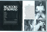 Big Boobs & Beavers V3 #2 Parliament 1978 Sylvia McFarland Linda Gordon 56pg Janice Hurst Geneva Lombardi Gorgeous Busty Women M21740