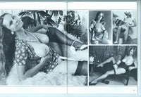 Big Boobs & Beavers V3 #2 Parliament 1978 Sylvia McFarland Linda Gordon 56pg Janice Hurst Geneva Lombardi Gorgeous Busty Women M21740