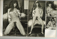 Cupcakes V1 #2 Parliament 1974 All Solo Women Small Boobs 64pg Tiny Tops M21872