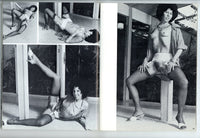 Bra Babes #22 Parliament 1976 Michelle Webber Cigarette Smoking Woman 56pg Stockings Heels M21945