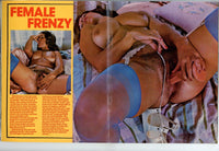 Bust Lusters V1 #1 Vintage 1974 Magazine Carol Stern, Vanessa DelRio 44pg All big Boobs M21949