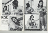 Brown Sugar V2 #2 Golden State News 1977 Blaxploitation Erotica 48pg Ebony Black Vintage Women M21999