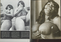 Brown Sugar V2 #2 Golden State News 1977 Blaxploitation Erotica 48pg Ebony Black Vintage Women M21999