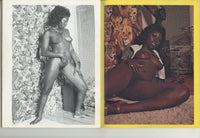 Brown Sugar V2 #2 Golden State News 1977 Blaxploitation Erotica 48pg Ebony Black Vintage Women M21999