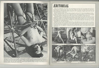 Punished! V1 #2 House Of Milan 1977 Robert Bishop Vintage BDSM 56pg Submissive Females Rope Play M21274