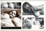 Big Tits #1 Karen Brown Busty Brown 1977 Golden State News All Big Boobs 48pg Solo Women M21303