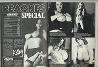 Peaches Special #10 Jeenaroy Ltd. 1975 All Big Boobs 84pg Solo Busty Females M22090