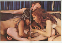 Lasses & Asses #2 Vintage 1976 Magazine Hippie Interracial Threesome 56pg M22216