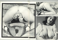 Boobs & Buns V4#2 Dawn Knudsen 1973 Linda Gordon Mary Waters 48pg Hanna Viek Big Boobs M22219