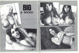 Busty Beavers V3#1 Delphine Drugg Golden State News 1977 Big Boobs 48pg M22260