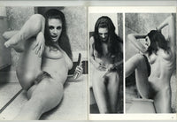 Action Wives V1#2 Geneva Lombardi, Karen Brown, Anette Soule, Jenny O'Reilly, Candee Hayslip  1975 Parliament Big Boobs 56pg Solo Women M22301