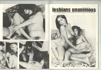 Succulent Sisters V3#2 PSI Publishing 1977 All Lesbian Couples 48pg M22303