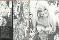 Cleavage #2 Phenix Press 1973 Dean Ackerlund, Laura Lynnwood, Katrine Lane 60pg Boobs M22305