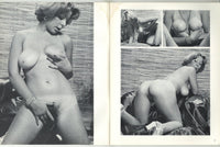 Big Boobs & Beavers V2#3 Arlene Bell 1977 Parliament 56pg Solo Women Big Boobs Hairy M22313