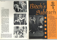 Cinema Sex V2#3 Pendulum Calga 1970 Bitch's Sabbath 72pg Ed Wood Psychedelic Sex M22333