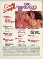 Big Breasts Plus 1984 Candy Samples 17p, Kelli Stewart, Angel Cash Swank 68pg Lactation M22370