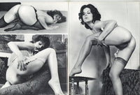 Fanny V4#4 Parliament Publications 1975 Rear View Ass Arse 62pg Vintage Smut M22516