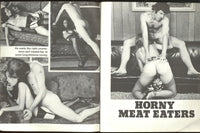 Horny #1 Delta Publishing 1976 All Hippie Couples 48pg Hairy Women M22576