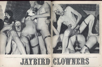 Jaybird Nudist V4#2 Sun Era Inc 1969 Vintage Hippie Erotica 64pg Hairy Women M22631